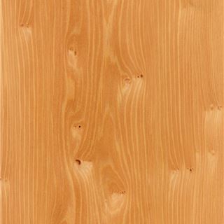 红豆杉 Pacific Yew