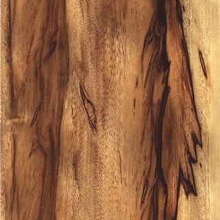 白沙比利橄榄 Chenchen Olive