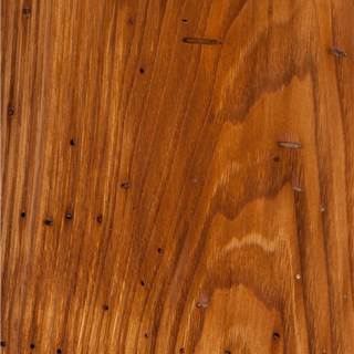栗子木虫眼 Chestnut Wormy
