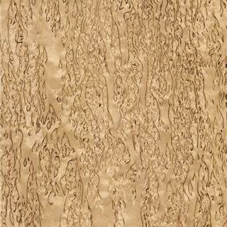 桦木树瘤  Birch Burl