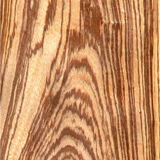 斑马山纹 Zebrawood Crown