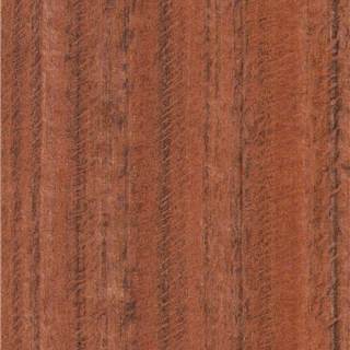 马来西亚老虎木 Malaysian Tigerwood