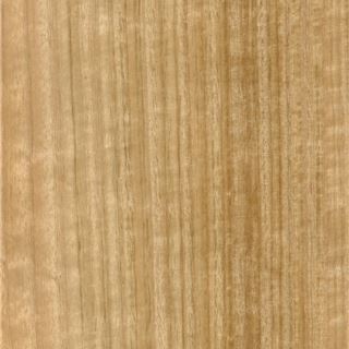 尤加利直纹  Eucalyptus Quarter