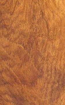 囊状紫檀(红木 bijasal narra padauk