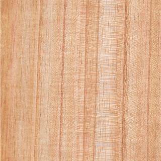 苦楝木直纹 Nimwood Quarter