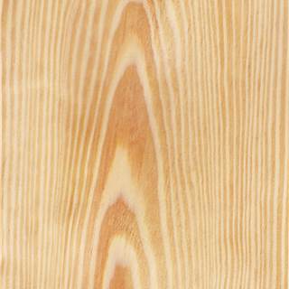 黄松山纹 Ponderosa Pine Crown