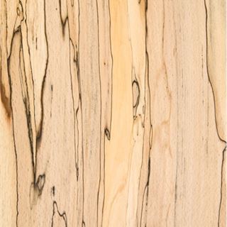 榉木朽纹  Beech  Spalted