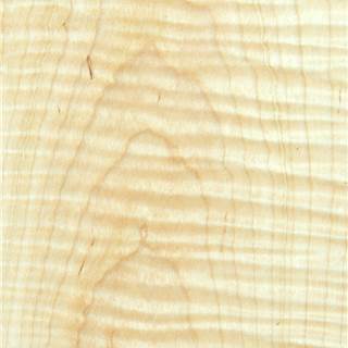 枫木影山纹  Maple Crown