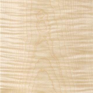 白影山纹  Sycamore Figured Crown