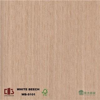 科技榉木直纹木皮