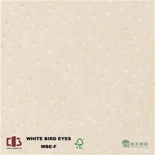 科技雀眼木皮
