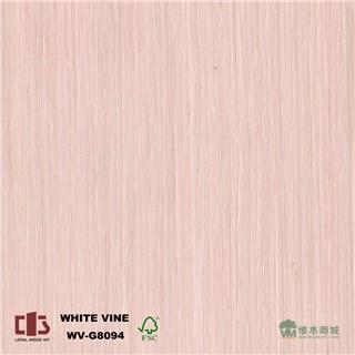 科技藤木直纹